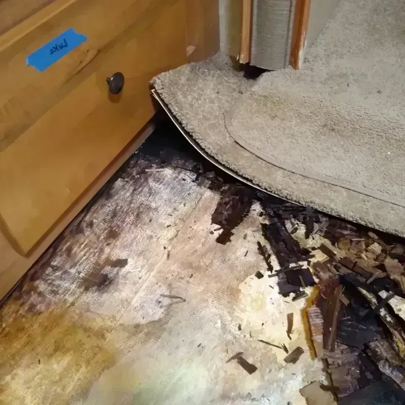 Wood Floor Water Damage in Lake Holiday, IL